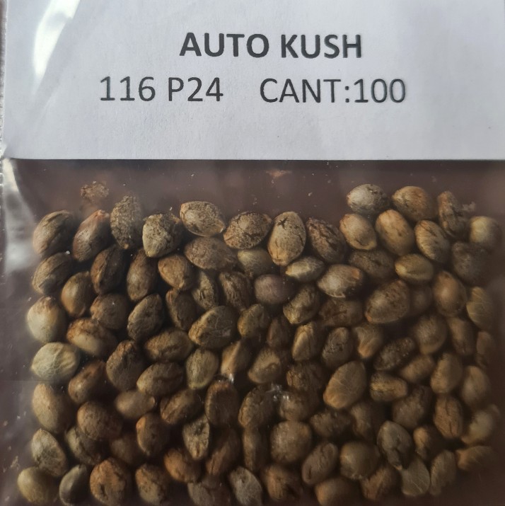 Automatic Flower KUSH